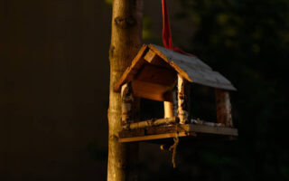 Futterhäuser für Vögel